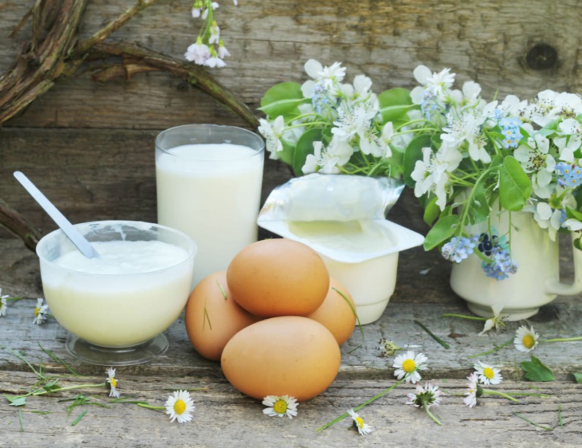 Frische Milch und Eier aus der eigenen Landwirtschaft