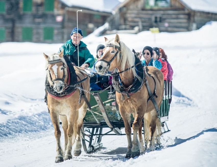 Pferdeschlittenfahrt durch die Almlandschaft © Tourismusverband Obertauern