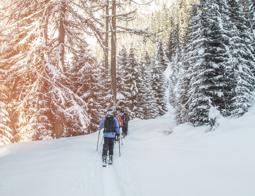 Skitour durch verschneiten Wald © Tourismusverband Obertauern