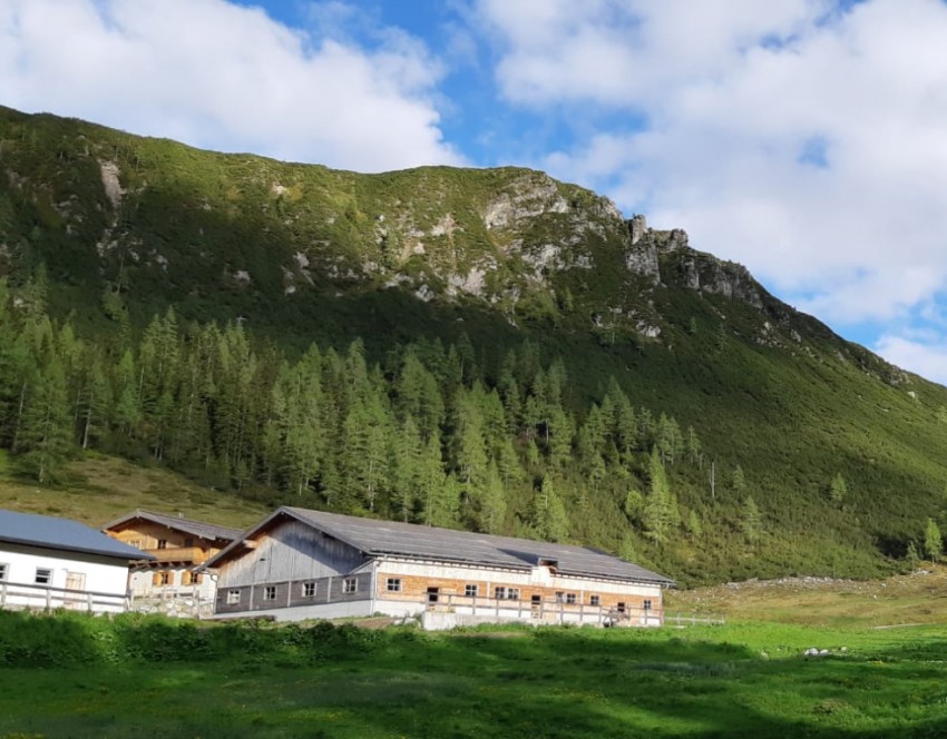 Die Alm für die Milchkühe in Zauchensee